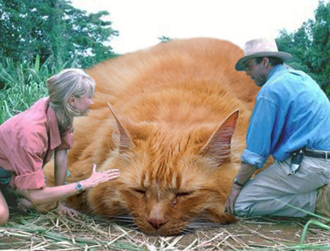 Jurassic Park Dinosaurs Replaced With Cats