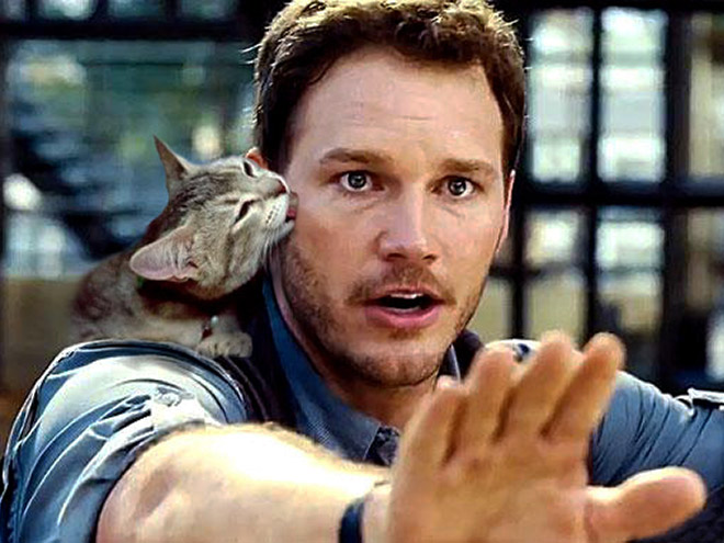 Jurassic Park Dinosaurs Replaced With Cats