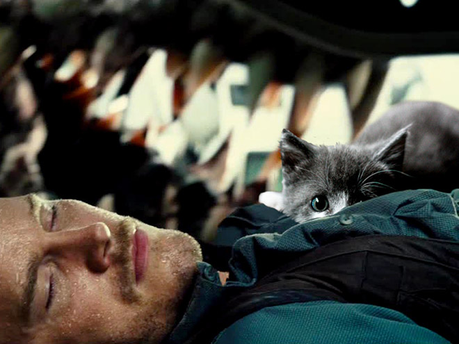 Jurassic Park Dinosaurs Replaced With Cats