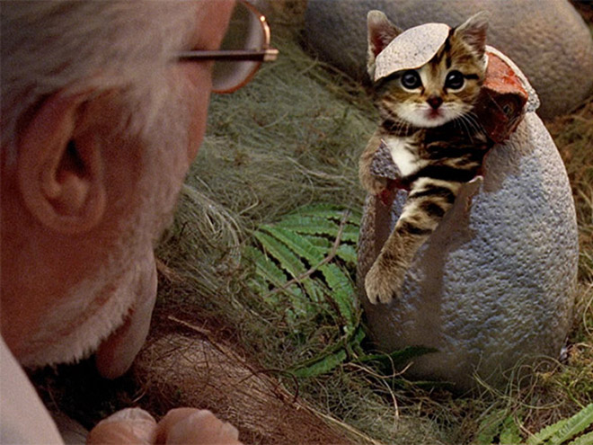 Jurassic Park Dinosaurs Replaced With Cats