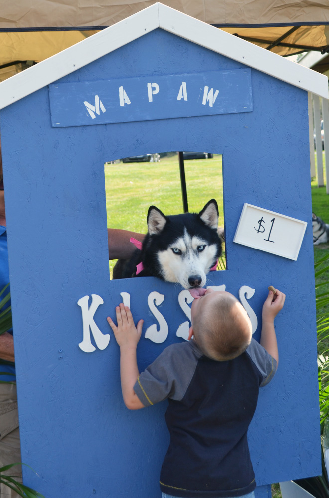 Kissing Booths: Dogs vs. Cats