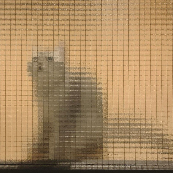 Low Resolution Cats Behind Pixelated Glass Doors