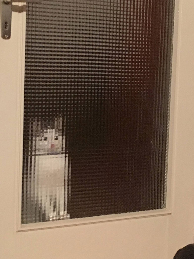 Low Resolution Cats Behind Pixelated Glass Doors
