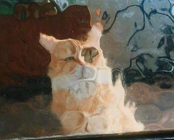Low Resolution Cats Behind Pixelated Glass Doors