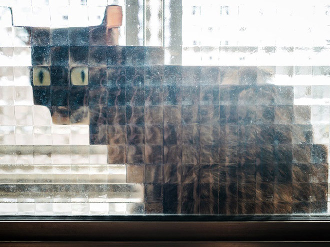 Low Resolution Cats Behind Pixelated Glass Doors