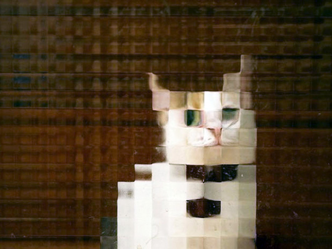 Low Resolution Cats Behind Pixelated Glass Doors
