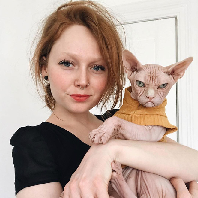 Meet Loki: The World’s Grumpiest Sphynx Cat