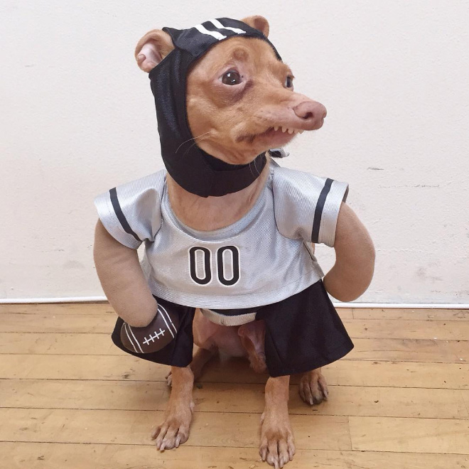 Meet Tuna: The Cutest Dog With an Overbite