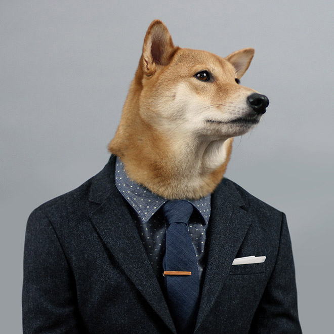 Menswear Dog: The Most Stylish Dog In The World