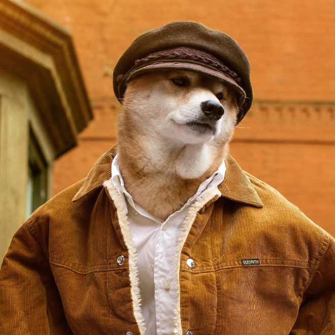 Menswear Dog: The Most Stylish Dog In The World