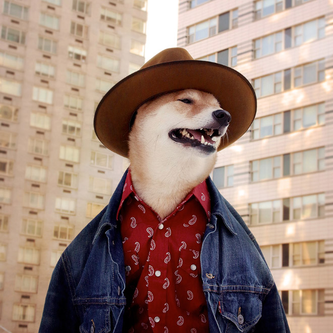 Menswear Dog: The Most Stylish Dog In The World