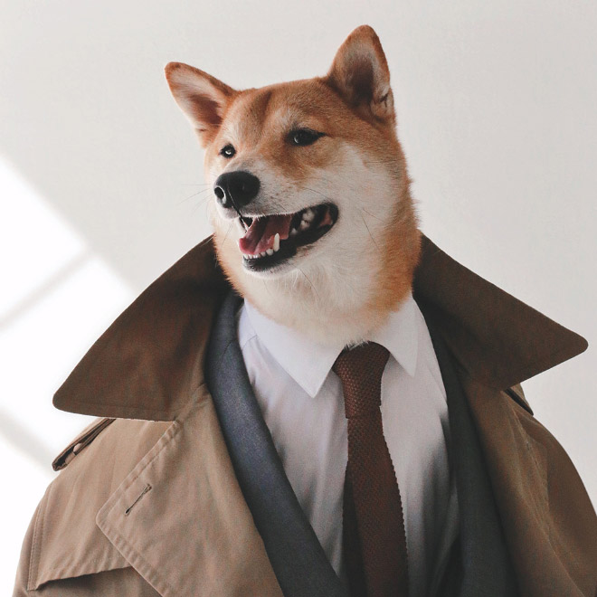 Menswear Dog: The Most Stylish Dog In The World