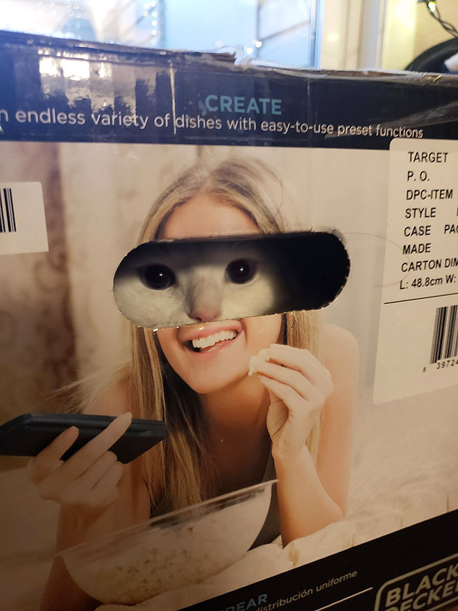 Ninja Cats