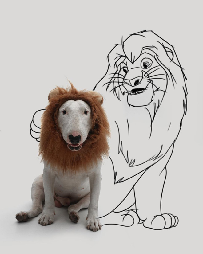 Owner Creates Brilliant Illustrations With His Bull Terrier