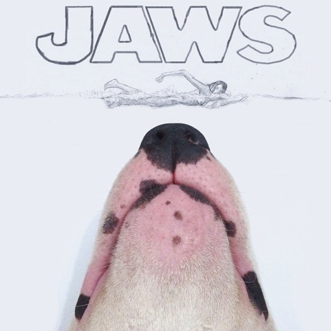 Owner Creates Brilliant Illustrations With His Bull Terrier