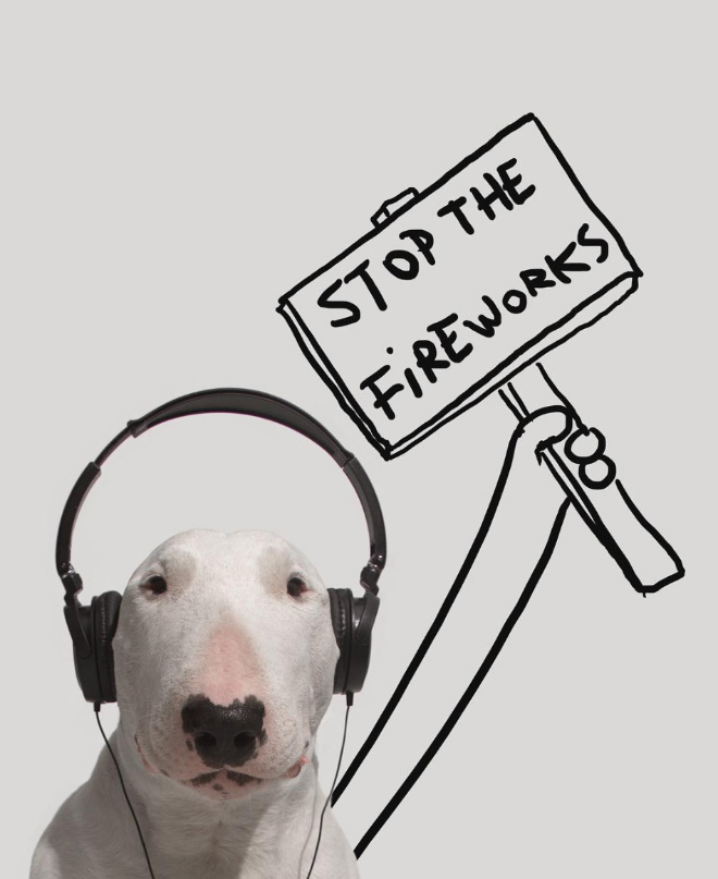 Owner Creates Brilliant Illustrations With His Bull Terrier