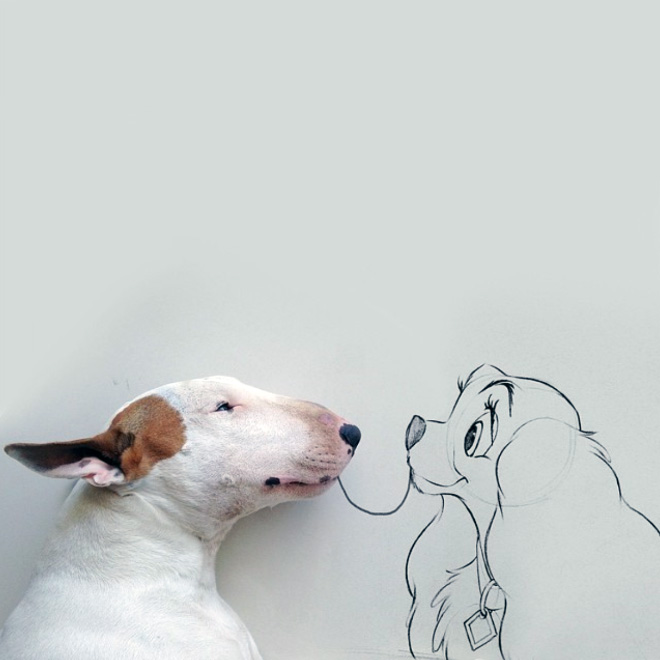 Owner Creates Brilliant Illustrations With His Bull Terrier