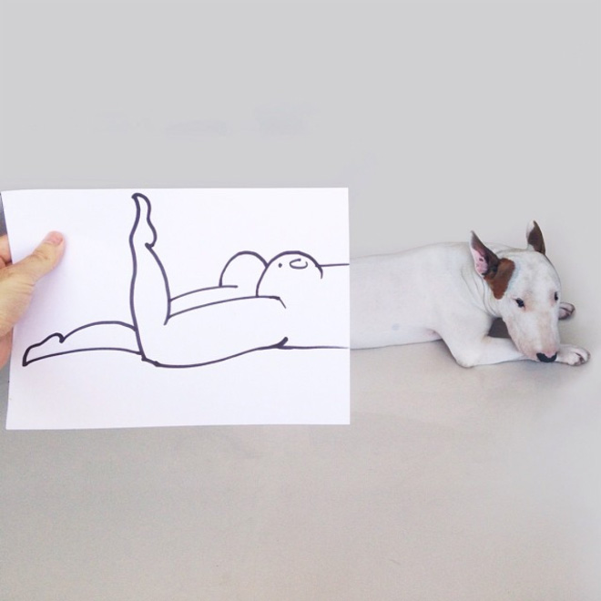 Owner Creates Brilliant Illustrations With His Bull Terrier