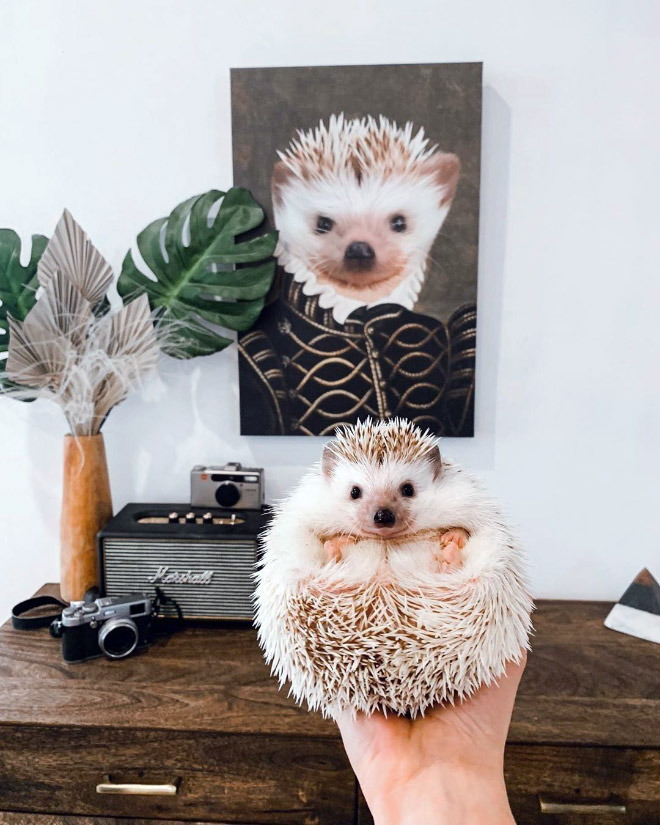 People Are Creating Royal Portraits Of Their Pets