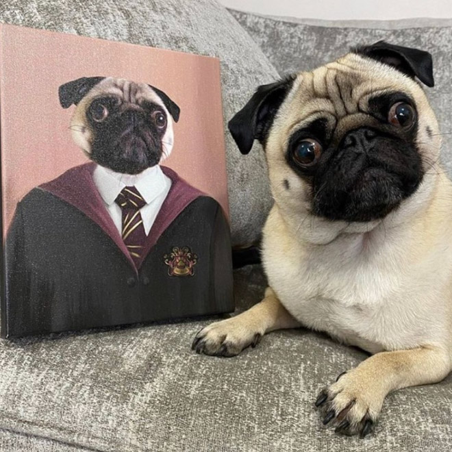 People Are Creating Royal Portraits Of Their Pets