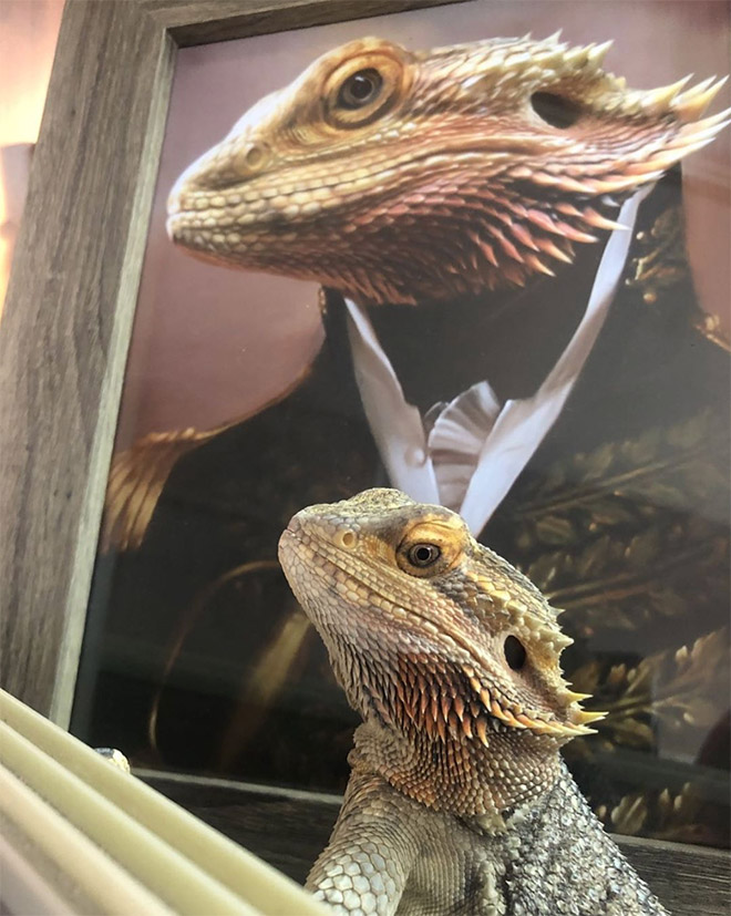People Are Creating Royal Portraits Of Their Pets