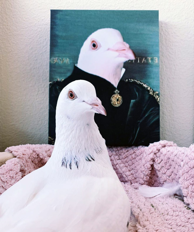 People Are Creating Royal Portraits Of Their Pets