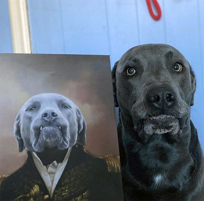 People Are Creating Royal Portraits Of Their Pets
