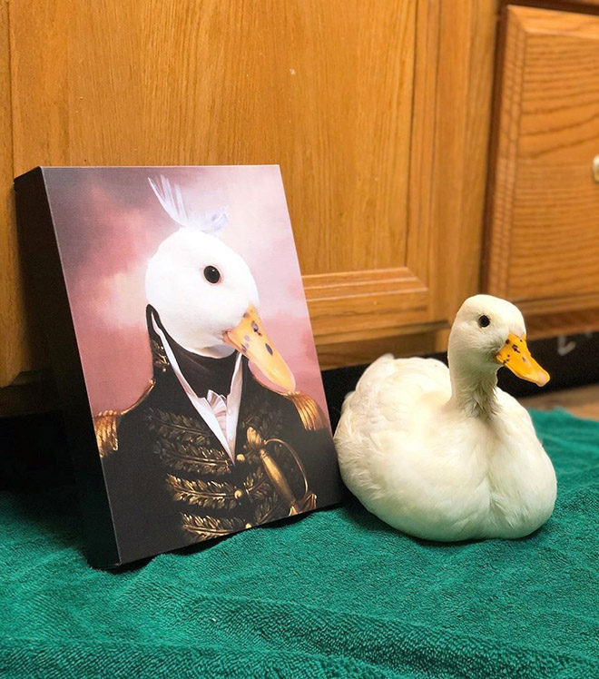People Are Creating Royal Portraits Of Their Pets