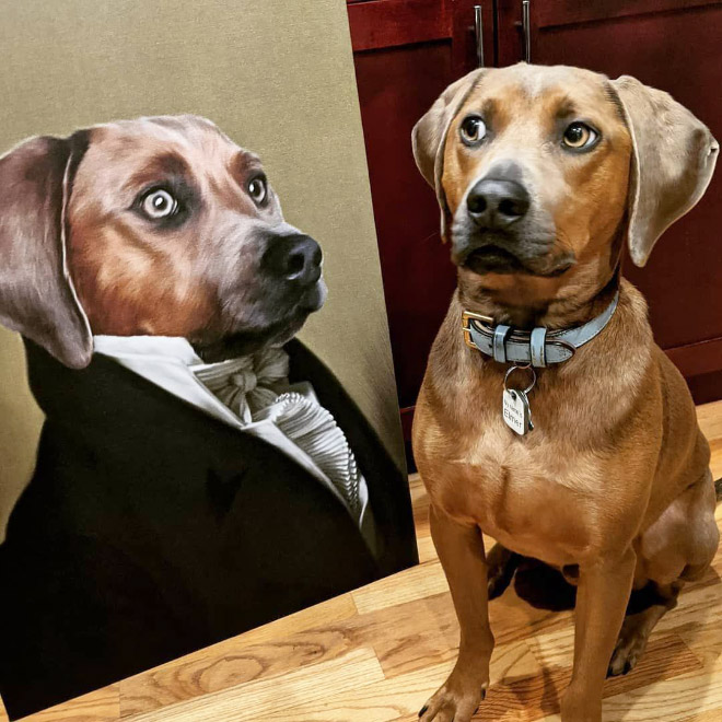 People Are Creating Royal Portraits Of Their Pets
