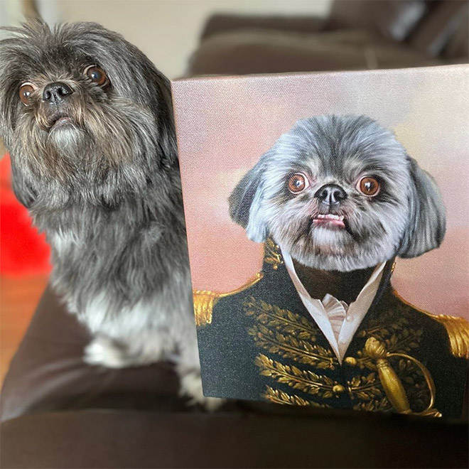 People Are Creating Royal Portraits Of Their Pets