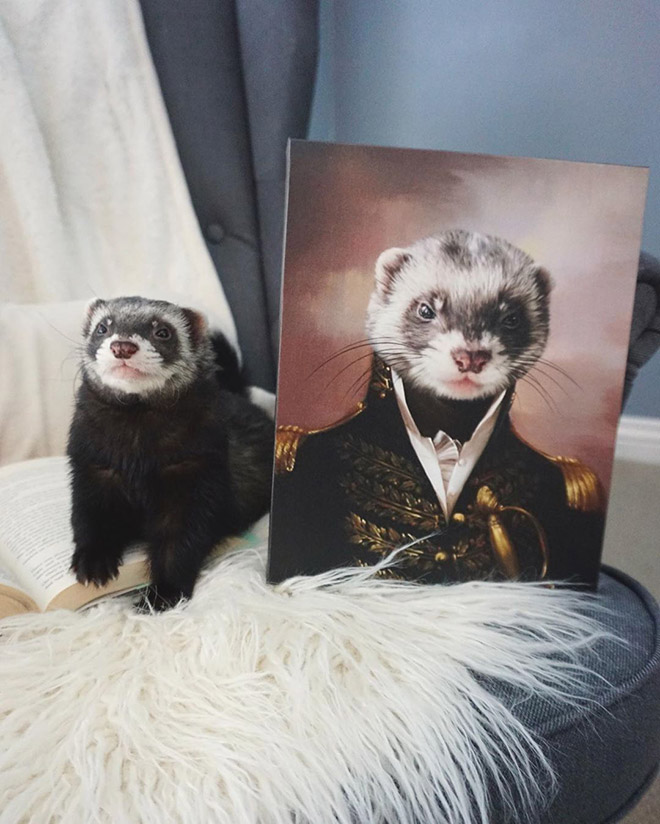 People Are Creating Royal Portraits Of Their Pets