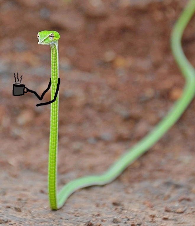People Are Doodling On Snake Pics, And The Result Is Brilliant