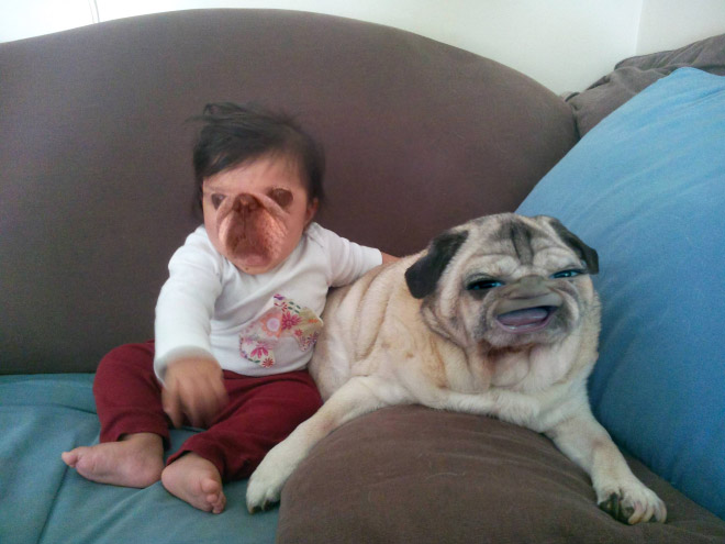 People Who Tried Face Swap On a Baby, And Regretted It Immediately