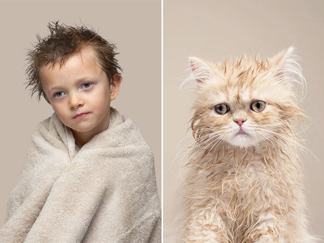 Photographer Puts Pets And Their Owners Side By Side, The Resemblance Is Uncanny