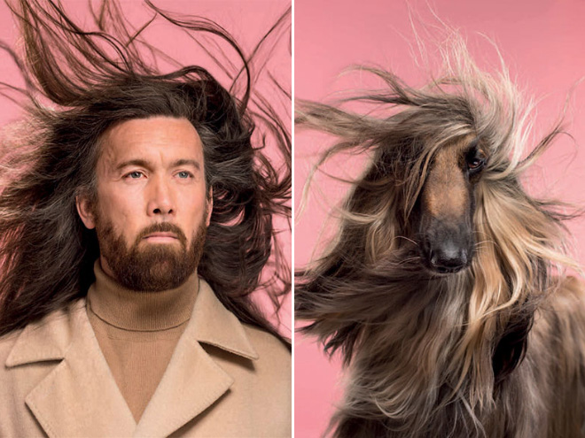 Photographer Puts Pets And Their Owners Side By Side, The Resemblance Is Uncanny