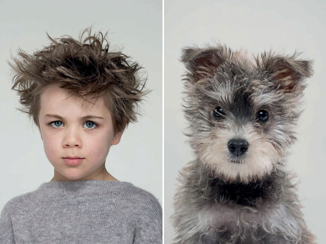 Photographer Puts Pets And Their Owners Side By Side, The Resemblance Is Uncanny