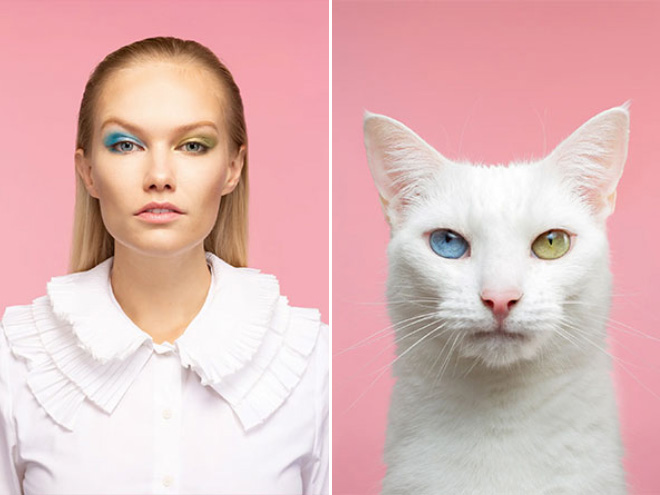 Photographer Puts Pets And Their Owners Side By Side, The Resemblance Is Uncanny