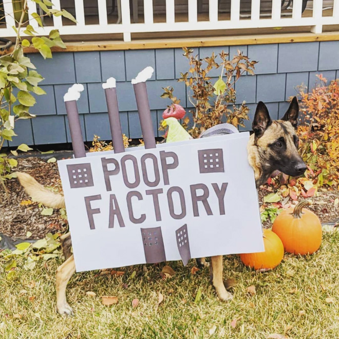 Poop Factory: The Best DIY Halloween Costume For Your Dog