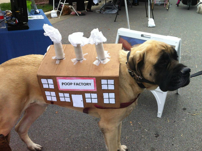 Poop Factory: The Best DIY Halloween Costume For Your Dog