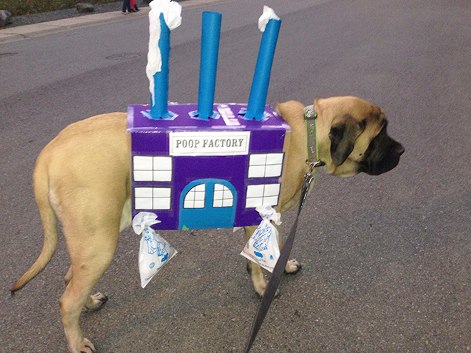 Poop Factory: The Best DIY Halloween Costume For Your Dog