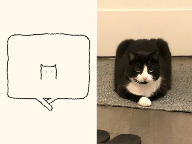 Really Accurate Cat Drawings