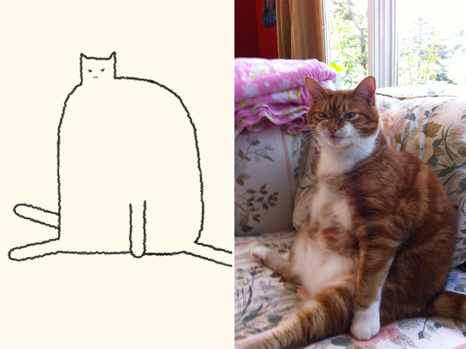 Really Accurate Cat Drawings