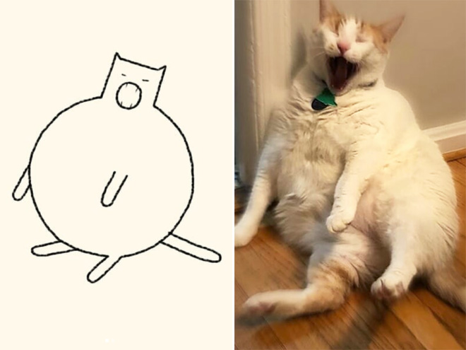 Really Accurate Cat Drawings