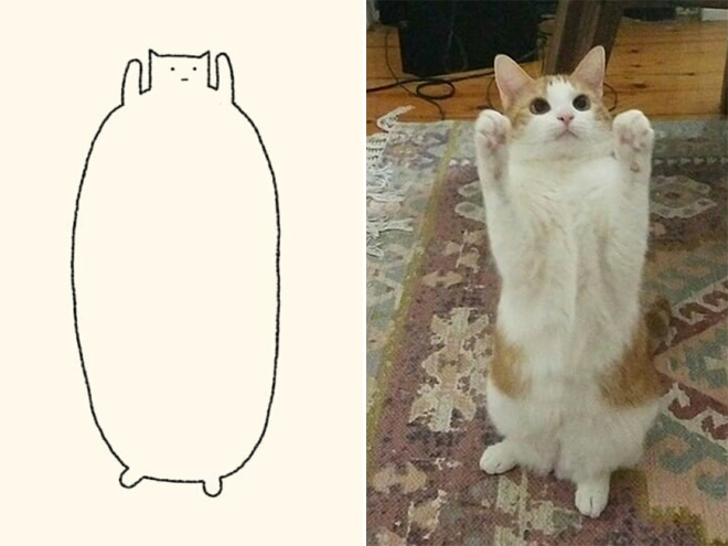Really Accurate Cat Drawings