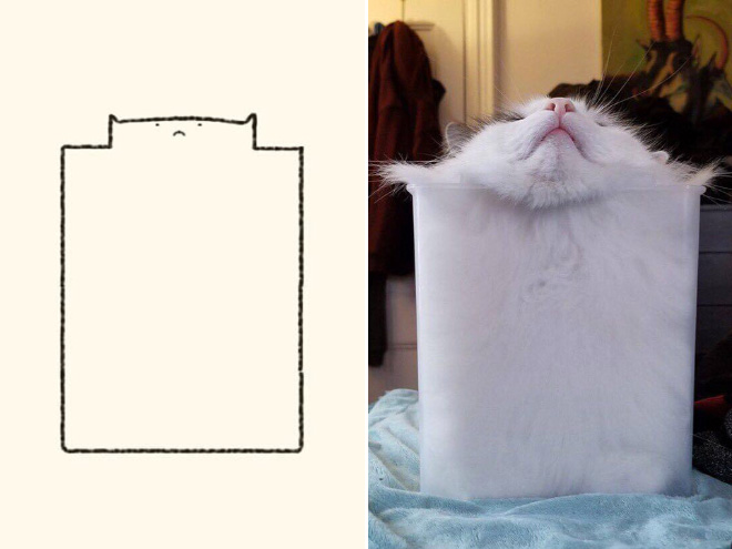 Really Accurate Cat Drawings
