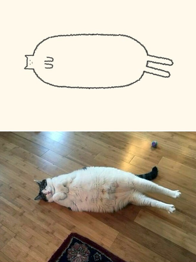 Really Accurate Cat Drawings