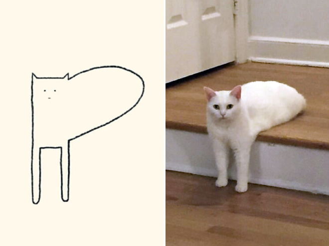 Really Accurate Cat Drawings