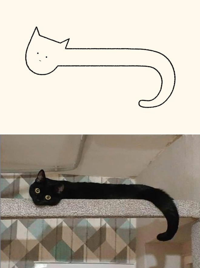 Really Accurate Cat Drawings