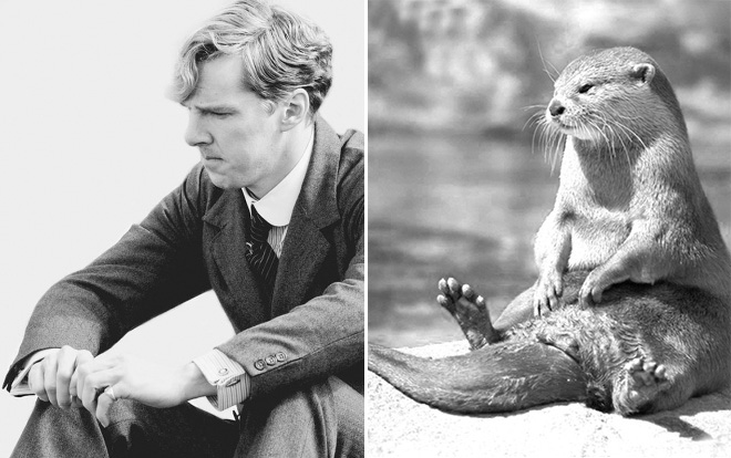Rumors Confirmed: Benedict Cumberbatch Is Actually an Otter