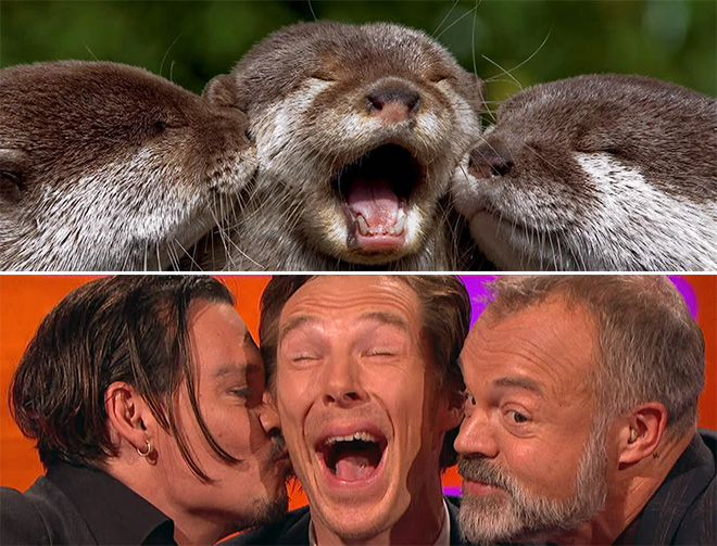 Rumors Confirmed: Benedict Cumberbatch Is Actually an Otter